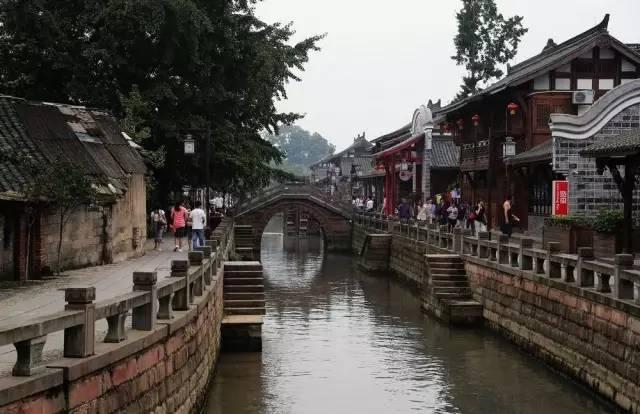 宠物世界聚会
