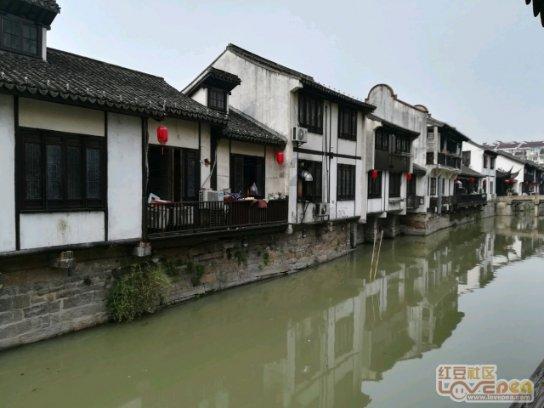 缤纷水果茶无敌版